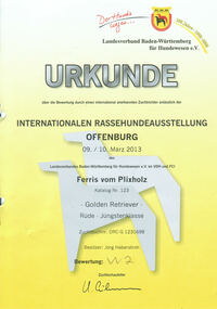 IRAS Offenburg 09. M&auml;rz 2013